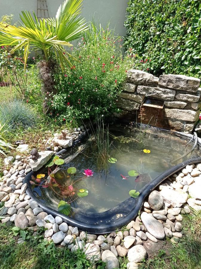 L'Albizia Gite Climatise St Maurice Saint-Maurice-en-Riviere المظهر الخارجي الصورة