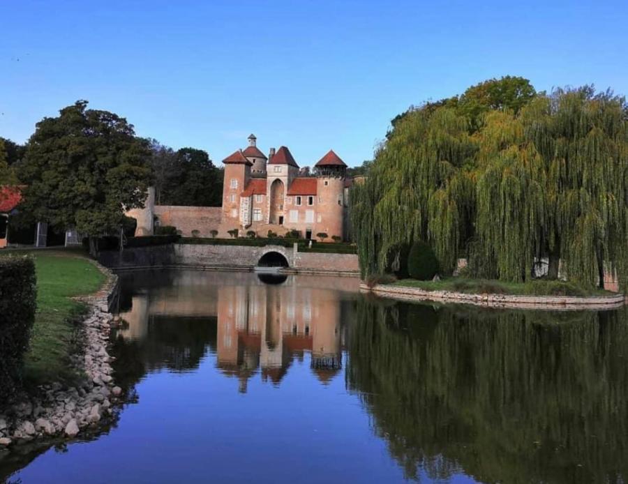 L'Albizia Gite Climatise St Maurice Saint-Maurice-en-Riviere المظهر الخارجي الصورة